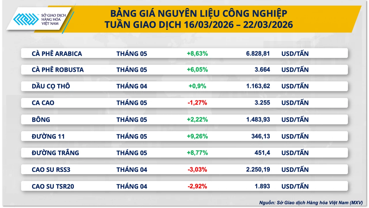 Giá bạc “bốc hơi” 14%, kéo dài chuỗi 8 phiên đi xuống