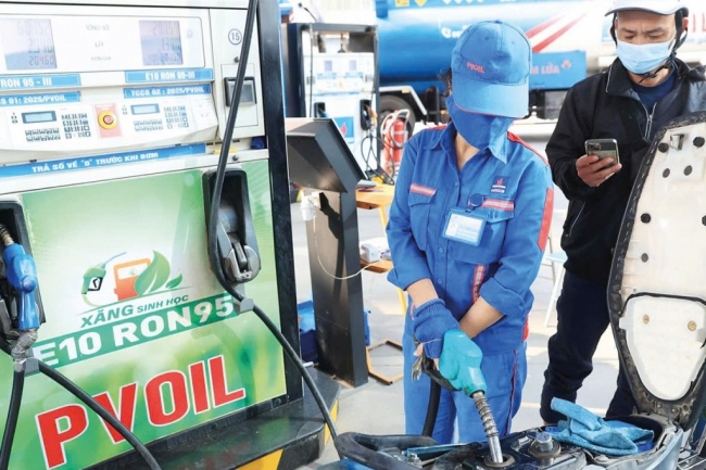 Đa dạng hóa nguồn cung: Từ nhập khẩu đến năng lượng thay thế