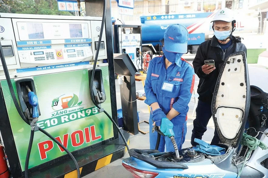 Đa dạng hóa nguồn cung: Từ nhập khẩu đến năng lượng thay thế Đa dạng hóa nguồn cung: Từ nhập khẩu đến năng lượng thay thế