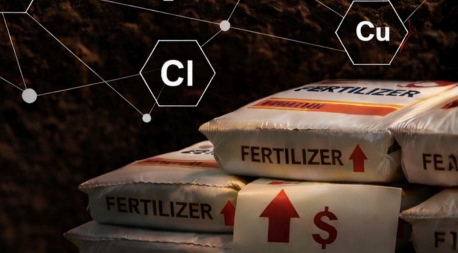 Giá phân bón được dự báo tăng mạnh nửa đầu năm 2026