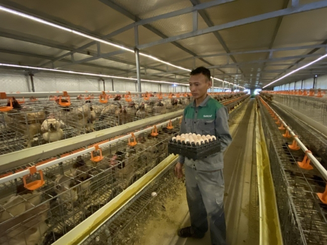 Sắp diễn ra Hội nghị Khoa học, công nghệ chăn nuôi và thú y toàn quốc lần thứ nhất