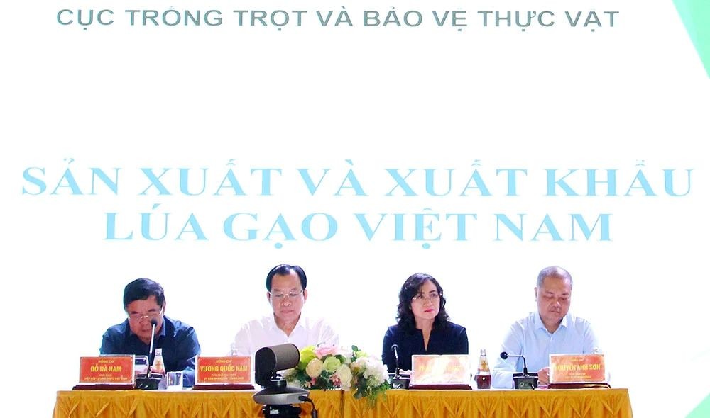 Xuất khẩu gạo 2026: Cơ hội tăng trưởng song hành thách thức chi phí và chất lượng