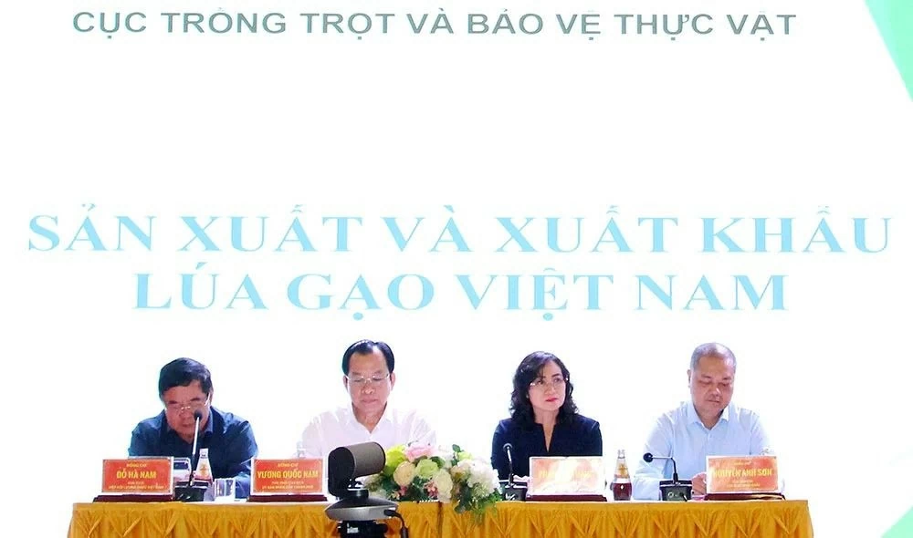 Xuất khẩu gạo 2026: Cơ hội tăng trưởng song hành thách thức chi phí và chất lượng
