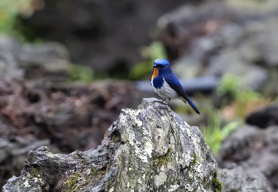 Bát Xát trở thành Vườn quốc gia thứ 36 của Việt Nam