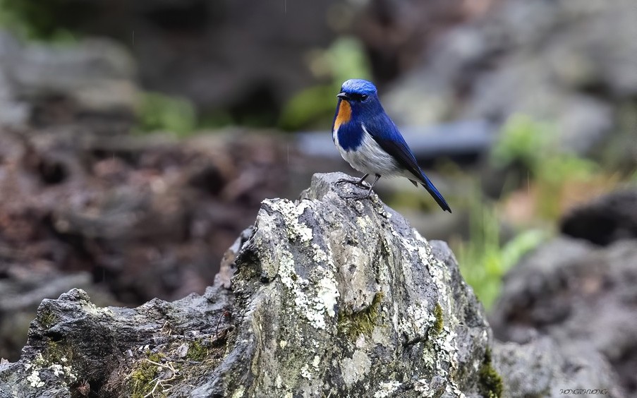 Bát Xát trở thành Vườn quốc gia thứ 36 của Việt Nam