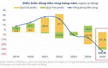 Ngành quản lý quỹ trước bài toán dòng tiền và chất lượng tăng trưởng