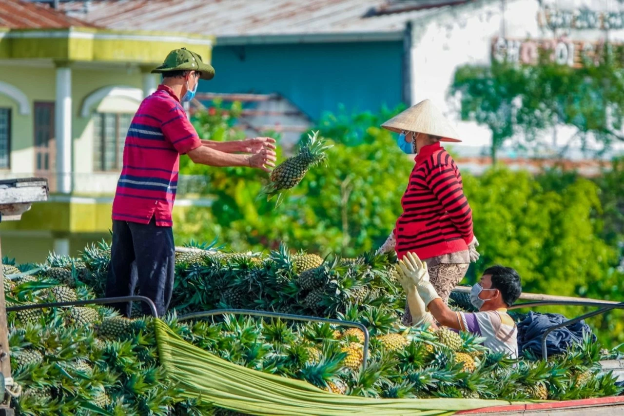 Kịch bản ứng phó của Bộ Nông nghiệp và Môi trường trước xung đột của Trung Đông