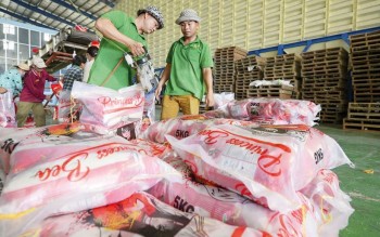 Giá xuất khẩu giảm, ngành lúa gạo đứng trước “cơn gió ngược”