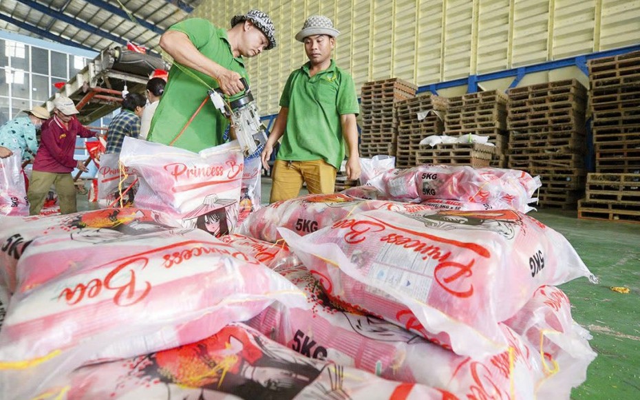 Giá xuất khẩu giảm, ngành lúa gạo đứng trước “cơn gió ngược”