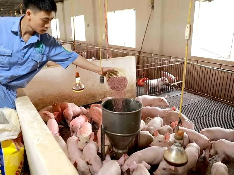 Doanh nghiệp “gồng mình” giữ giá, đồng hành cùng nông dân vượt sóng chi phí Doanh nghiệp “gồng mình” giữ giá, đồng hành cùng nông dân vượt sóng chi phí