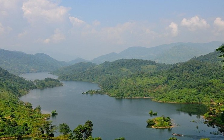 Việt Nam nhận 72 triệu USD phát triển rừng bền vững miền Bắc