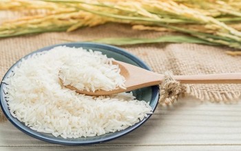 Ngày 29/3: Giá một số mặt hàng gạo nguyên liệu điều chỉnh tăng, lúa ổn định