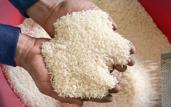 Giá gạo xuất khẩu châu Á sụt giảm trước áp lực cước vận tải tăng cao
