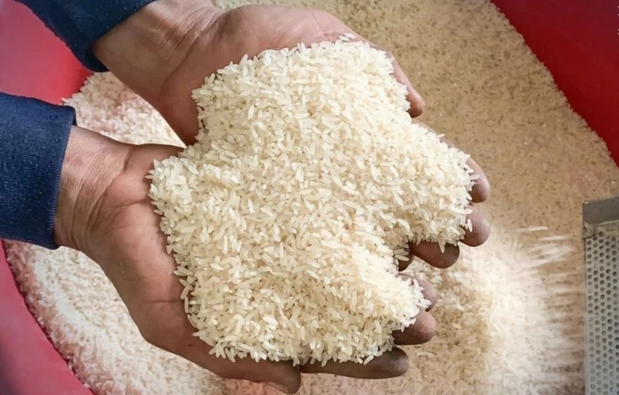 Giá gạo xuất khẩu châu Á sụt giảm trước áp lực cước vận tải tăng cao Giá gạo xuất khẩu châu Á sụt giảm trước áp lực cước vận tải tăng cao