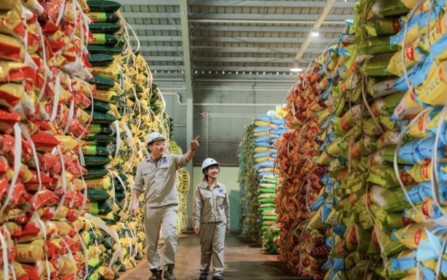 Đạm Phú Mỹ đặt kế hoạch lợi nhuận năm 2026 "đi lùi"