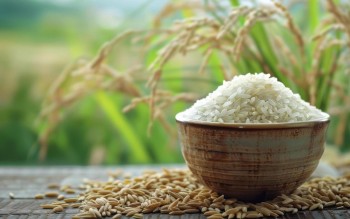 Ngày 31/3: Giá lúa gạo tại Đồng bằng sông Cửu Long đi ngang, nhu cầu mua yếu