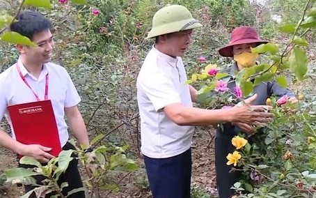 Nông nghiệp - trụ cột tăng trưởng nếu được “tiếp sức”