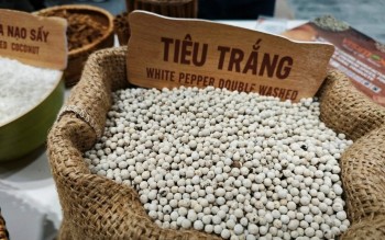 Ngày 1/4: Giá tiêu tăng tiến sát vùng đỉnh mới, cà phê giảm sốc