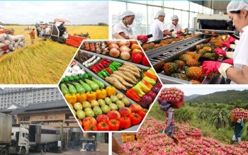 Xuất khẩu nông, lâm, thủy sản đạt gần 17 tỷ USD trong quý I, hướng tới mục tiêu 74 tỷ USD cả năm