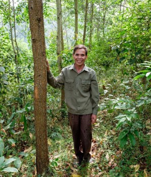 Việt Nam sẽ nhận gần 72 triệu USD từ Quỹ Khí hậu xanh nhờ kết quả giảm phát thải rừng