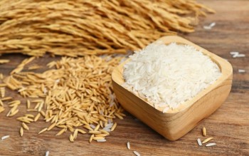 Ngày 2/4: Giá lúa gạo tại Đồng bằng sông Cửu Long khởi sắc trở lại