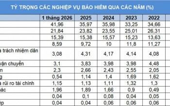 Sự dịch chuyển cơ cấu bảo hiểm phi nhân thọ và "cuộc chơi" chiến lược