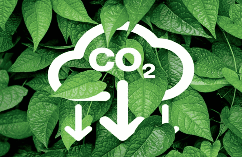 Hoàn thiện khung pháp lý cho vận hành sàn giao dịch các-bon trong nước