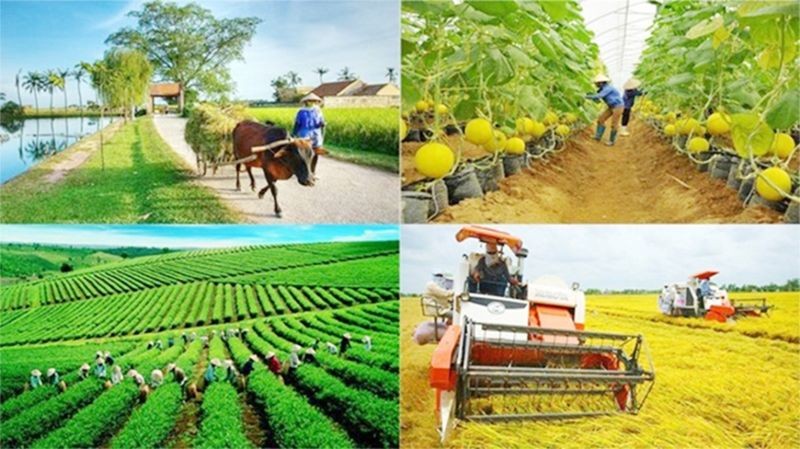 Chính phủ thông qua hồ sơ trình Quốc hội về thống nhất 4 Chương trình mục tiêu quốc gia