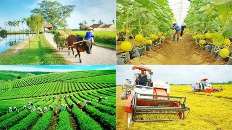 Sắp có hướng dẫn về tiêu chí tài chính trong xây dựng nông thôn mới giai đoạn 2026 - 2030