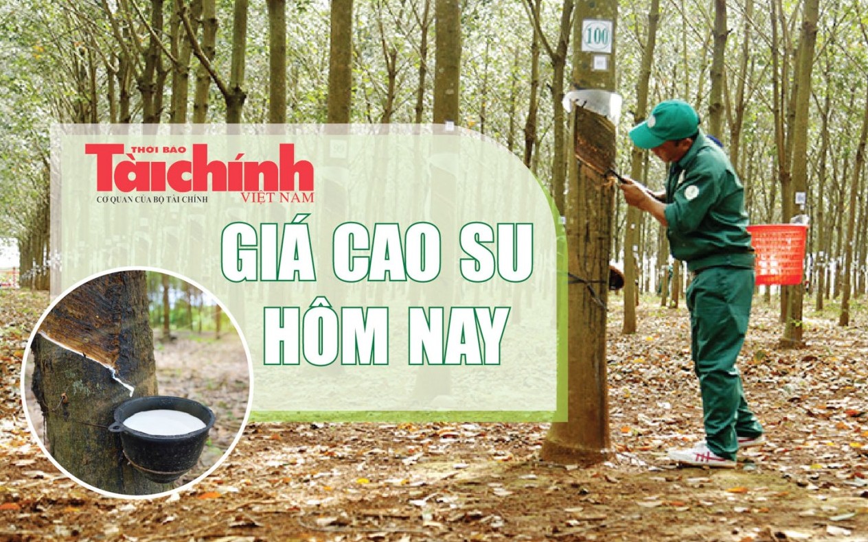 Ngày 5/4: Giá cao su tại các thị trường chủ chốt đồng loạt tăng tốc