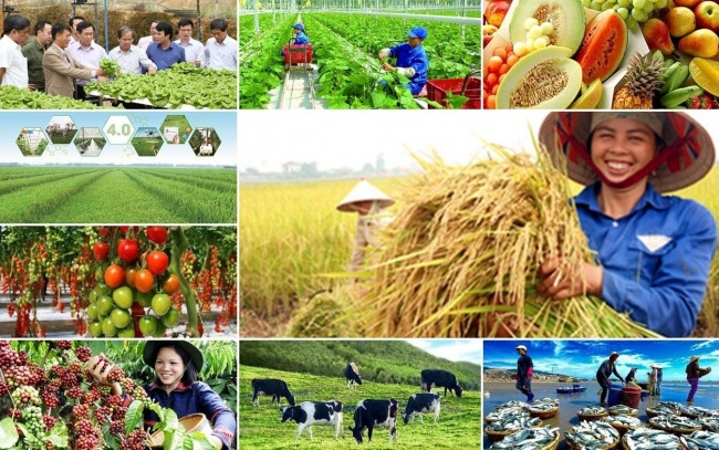 Phó Thủ tướng Nguyễn Chí Dũng gửi thư chúc mừng 80 năm Ngày Hợp tác xã Việt Nam