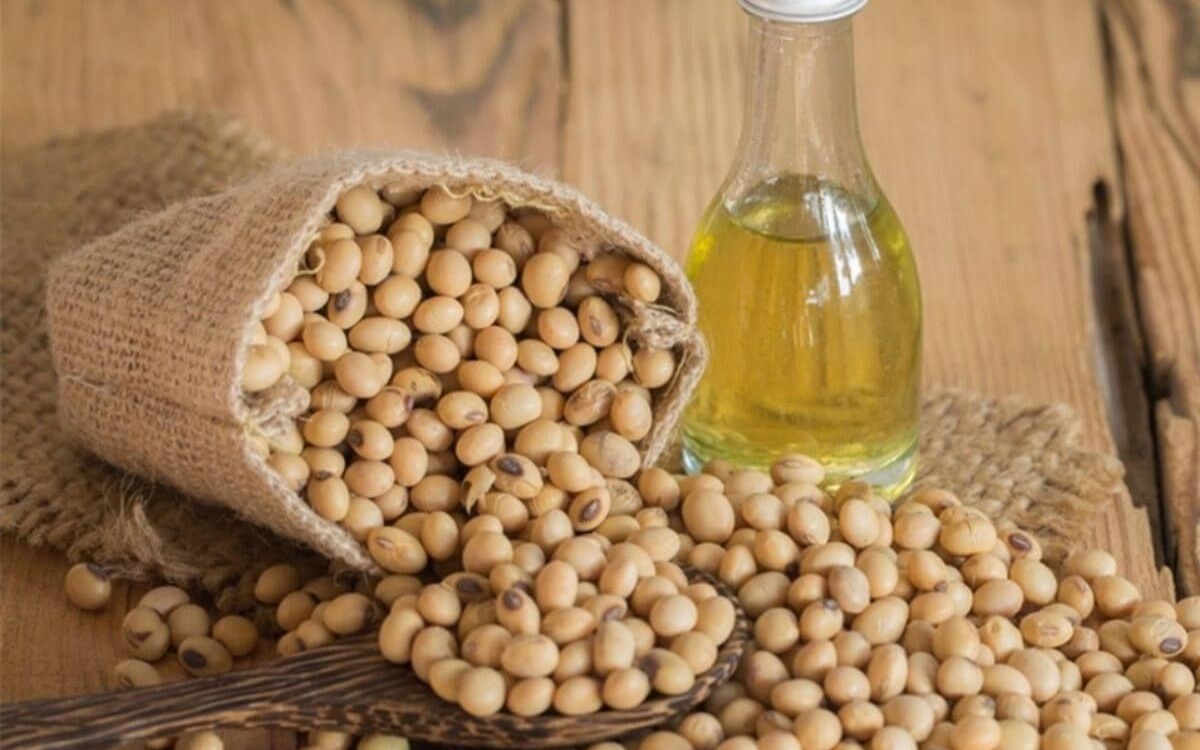 Giá ca cao lùi về vùng đáy một năm, dầu đậu tương chinh phục đỉnh mới