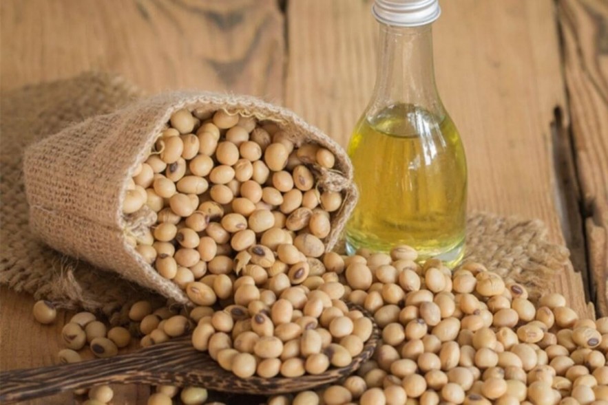 Giá ca cao lùi về vùng đáy một năm, dầu đậu tương chinh phục đỉnh mới Giá ca cao lùi về vùng đáy một năm, dầu đậu tương chinh phục đỉnh mới