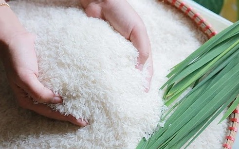 Ngày 8/4: Giá gạo nguyên liệu tại Đồng bằng sông Cửu Long tăng, lúa ổn định