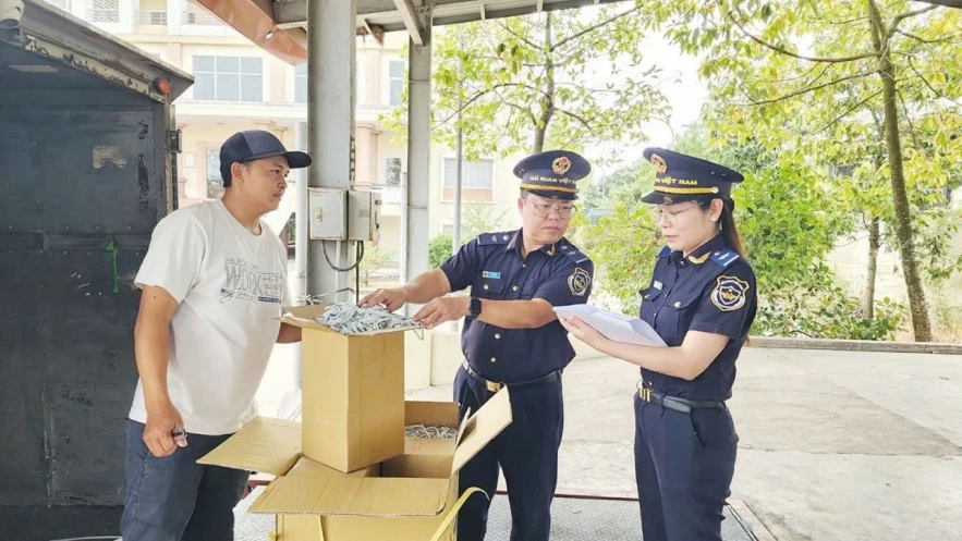 Hải quan cùng kiến tạo với người dân và doanh nghiệp Hải quan cùng kiến tạo với người dân và doanh nghiệp