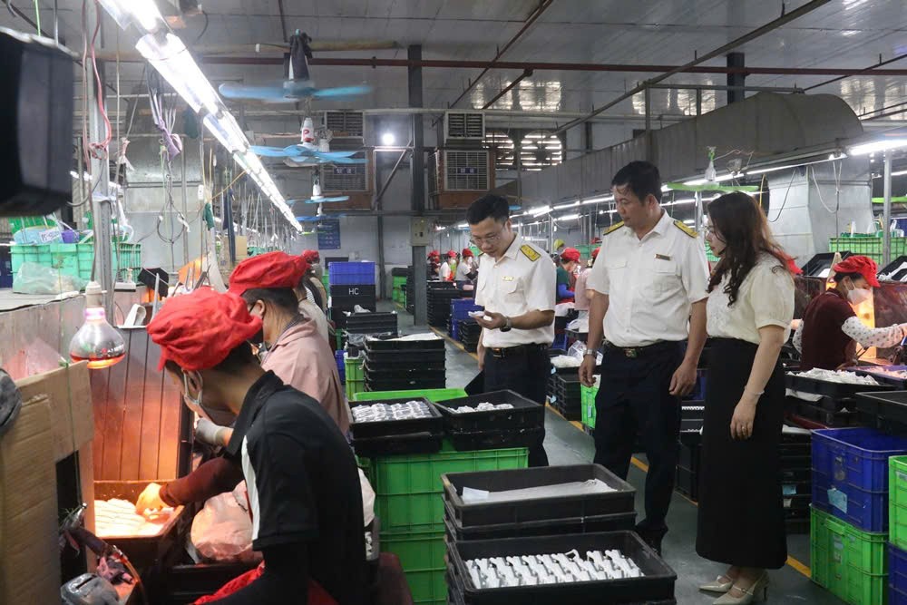 Thuế tỉnh Phú Thọ thu ngân sách đạt 37% dự toán Thuế tỉnh Phú Thọ thu ngân sách đạt 37% dự toán