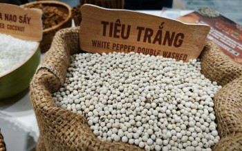 Ngày 9/4: Giá tiêu điều chỉnh tăng, cà phê lao dốc