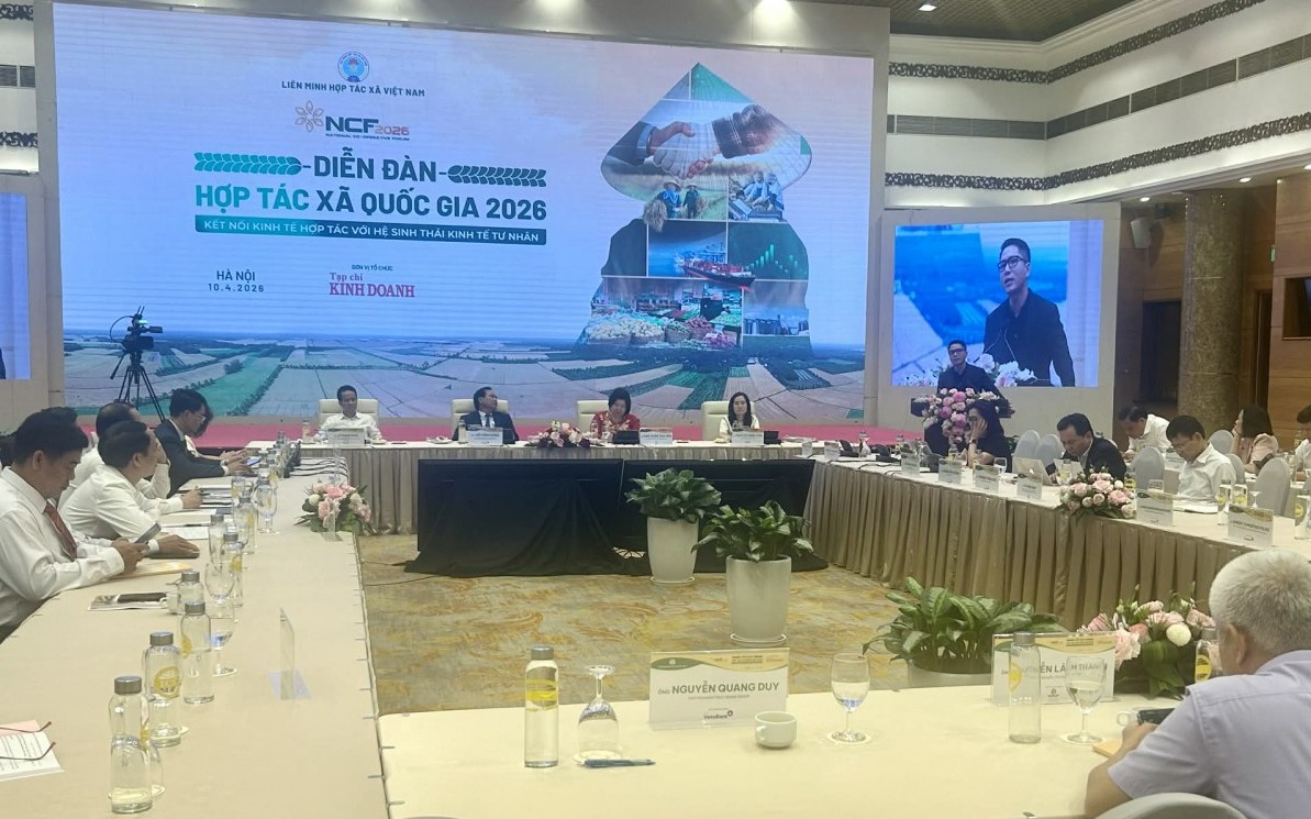 Kết nối hợp tác xã - kinh tế tư nhân: Mở đường cho hệ sinh thái nông nghiệp hiện đại