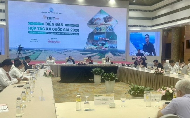 Kết nối hợp tác xã - kinh tế tư nhân: Mở đường cho hệ sinh thái nông nghiệp hiện đại