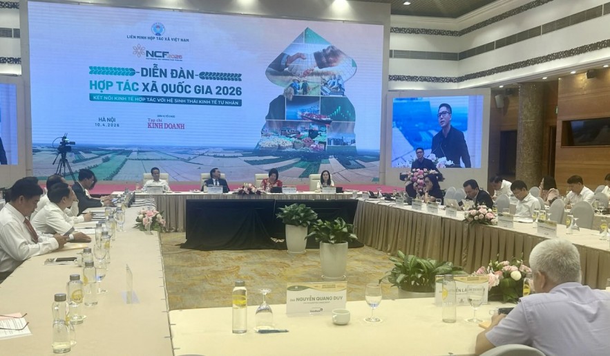 Kết nối hợp tác xã- kinh tế tư nhân: Mở đường cho hệ sinh thái nông nghiệp hiện đại