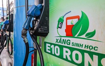 Xăng sinh học E10: Mở ra cơ hội mới cho an ninh năng lượng và tăng trưởng xanh