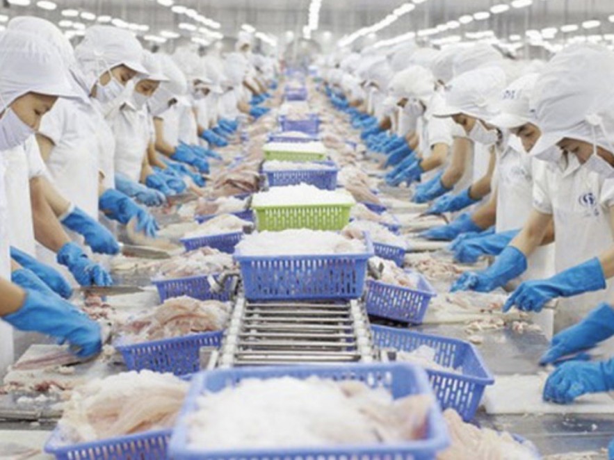 Vĩnh Hoàn lên kế hoạch doanh thu vượt 14.000 tỷ đồng