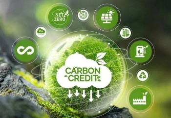 Nâng năng lực cho doanh nghiệp tham gia thị trường carbon tại Việt Nam