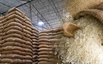 Ngày 11/4: Giá gạo xuất khẩu tăng mạnh, trong nước ổn định