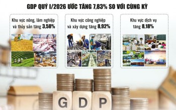 Lấy đầu tư công làm trụ đỡ thúc đẩy tăng trưởng