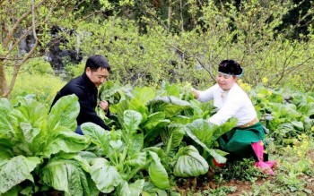 Giải ngân chương trình mục tiêu quốc gia: Nỗ lực cho mục tiêu "không ai bị bỏ lại phía sau"