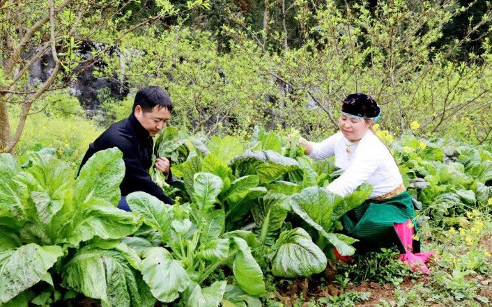 Giải ngân chương trình mục tiêu quốc gia: Nỗ lực cho mục tiêu "không ai bị bỏ lại phía sau"
