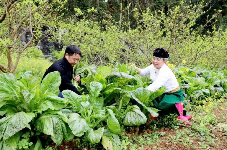 Giải ngân chương trình mục tiêu quốc gia: Nỗ lực cho mục tiêu Giải ngân chương trình mục tiêu quốc gia: Nỗ lực cho mục tiêu