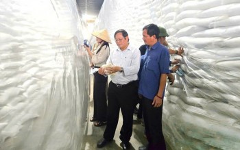 Nâng cao trách nhiệm, tăng cường quản lý chất lượng hàng dự trữ quốc gia