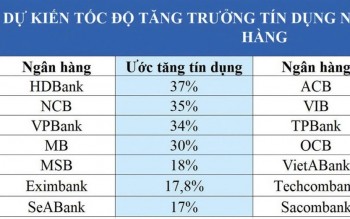 Tín dụng giảm nhịp, ngân hàng rẽ hướng chiến lược